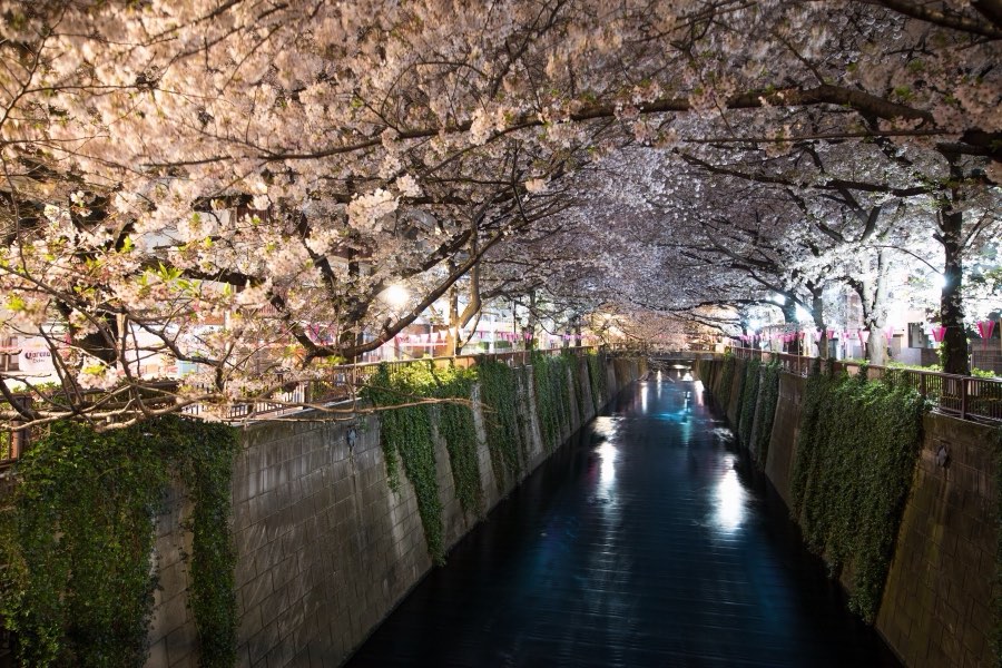 Tokyo, Printemps 2017, Japon. Photographie de Jordy Meow, 84/289