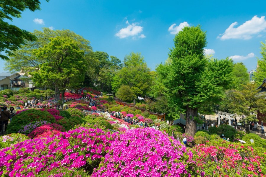 Tokyo, Printemps 2014, Japon. Photographie de Jordy Meow, 85/289
