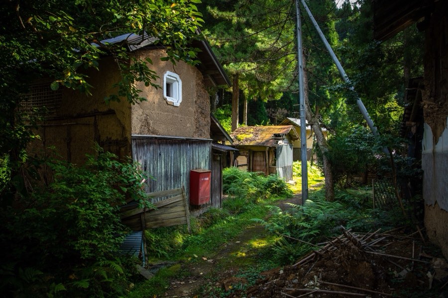 Tottori, Automne 2019, Japon. Photographie de Jordy Meow, 247/302