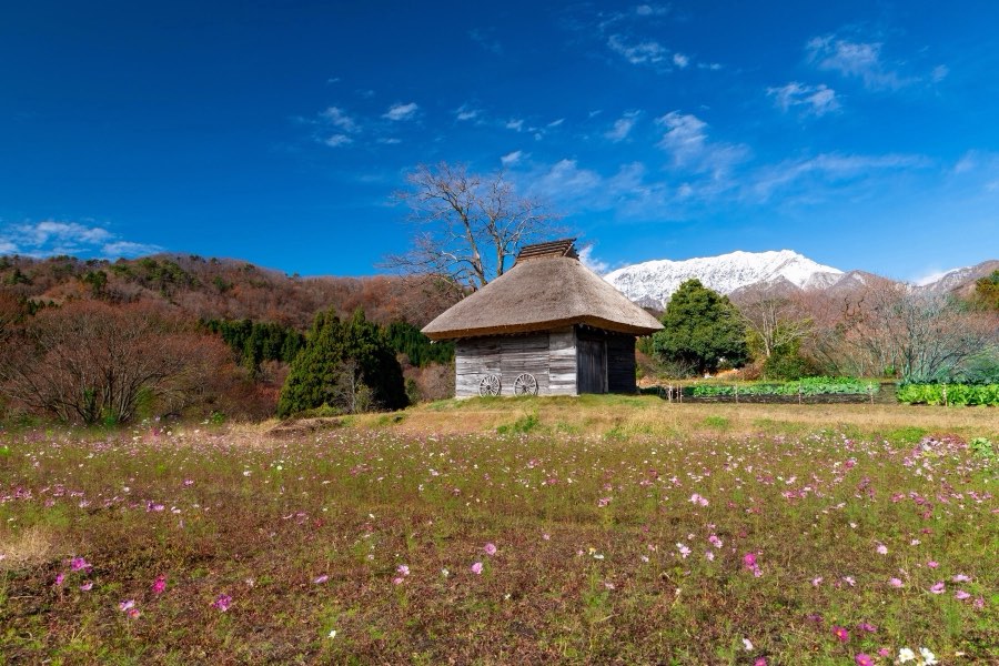 Tottori, Automne 2018, Japon. Photographie de Jordy Meow, 248/302