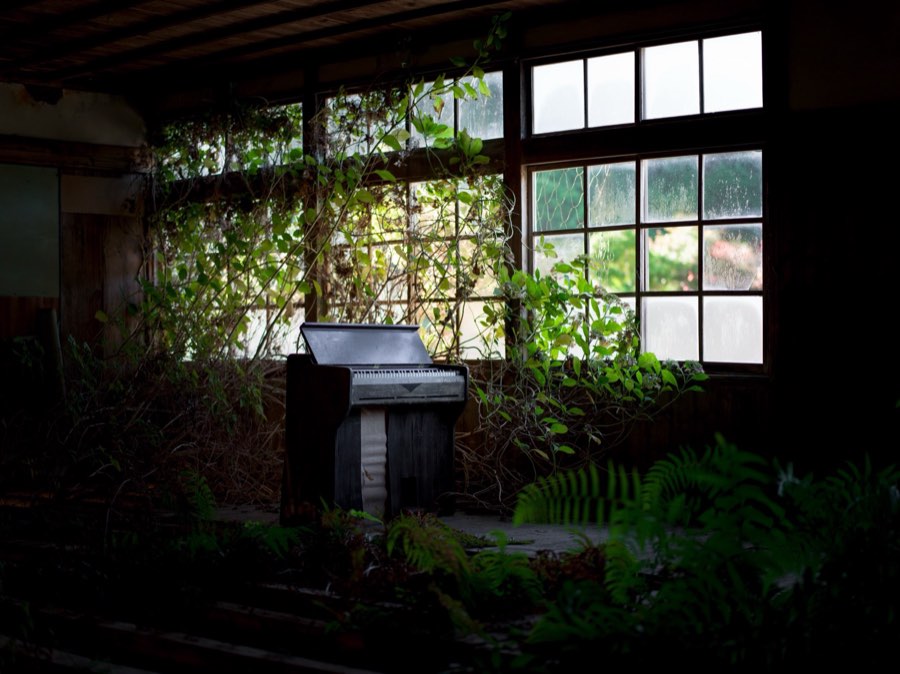 Wakayama, Automne 2019, Japon. Photographie de Jordy Meow, 238/302