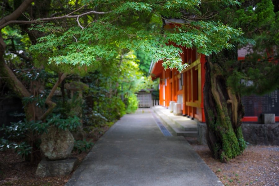Wakayama, Automne 2017, Japon. Photographie de Jordy Meow, 244/302