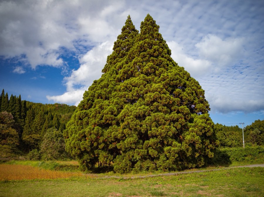 Yamagata, Automne 2020, Japon. Photographie de Jordy Meow, 66/302