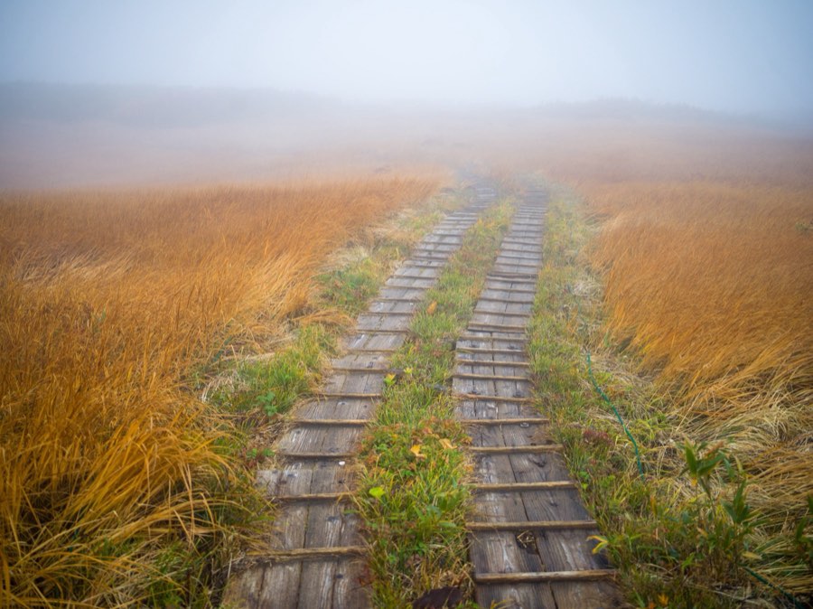 Yamagata, Automne 2020, Japon. Photographie de Jordy Meow, 68/302