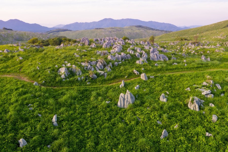 Yamaguchi, Été 2020, Japon. Photographie de Jordy Meow, 158/229