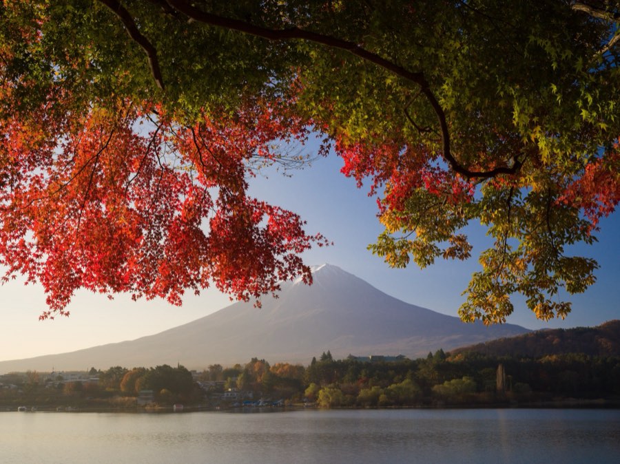 Yamanashi, Automne 2020, Japon. Photographie de Jordy Meow, 136/302