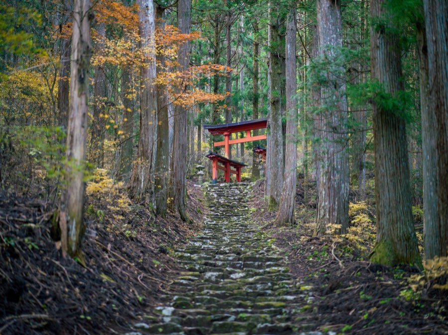 Yamanashi, Automne 2020, Japon. Photographie de Jordy Meow, 137/302