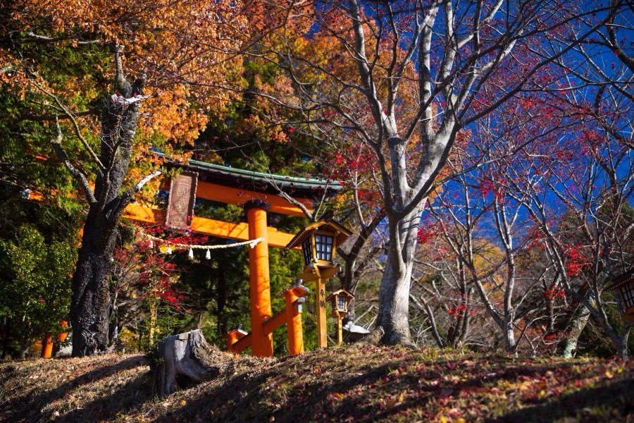 Yamanashi, Automne 2017, Japon. Photographie de Jordy Meow, 141/302