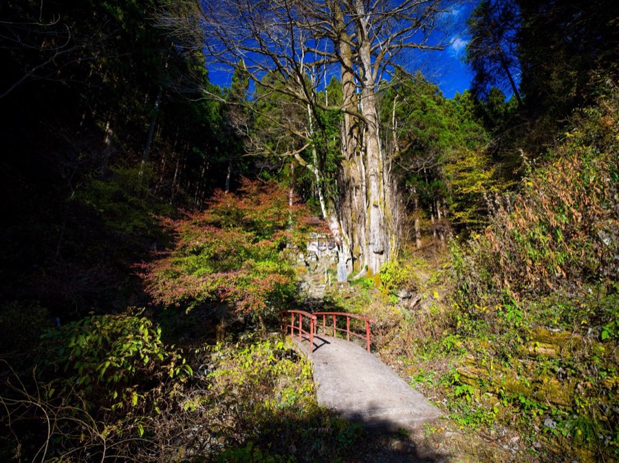 Yamanashi, Automne 2020, Japon. Photographie de Jordy Meow, 145/302